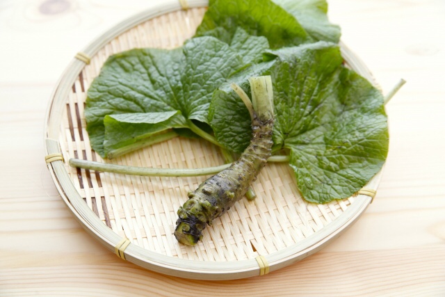 ○ wasabi is the most used spice in Japan. What are the reactions of  visitors to Japan? | HealthyJapanesefood